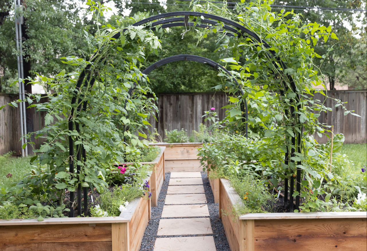 The Kelly Kitchen Garden Package: Four Cedar 4' x 8' x 2' Raised Bed Kitchen Garden Package and Two Nicole Arch Trellises Package