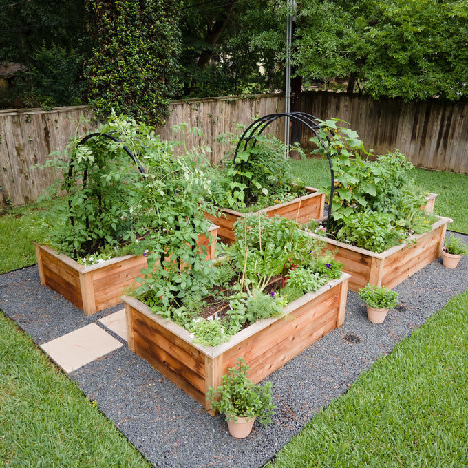 The Kelly Kitchen Garden Package: Four Cedar 4' x 8' x 2' Raised Bed Kitchen Garden Package and Two Nicole Arch Trellises Package