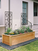 Rochelle Kitchen Garden Bundle