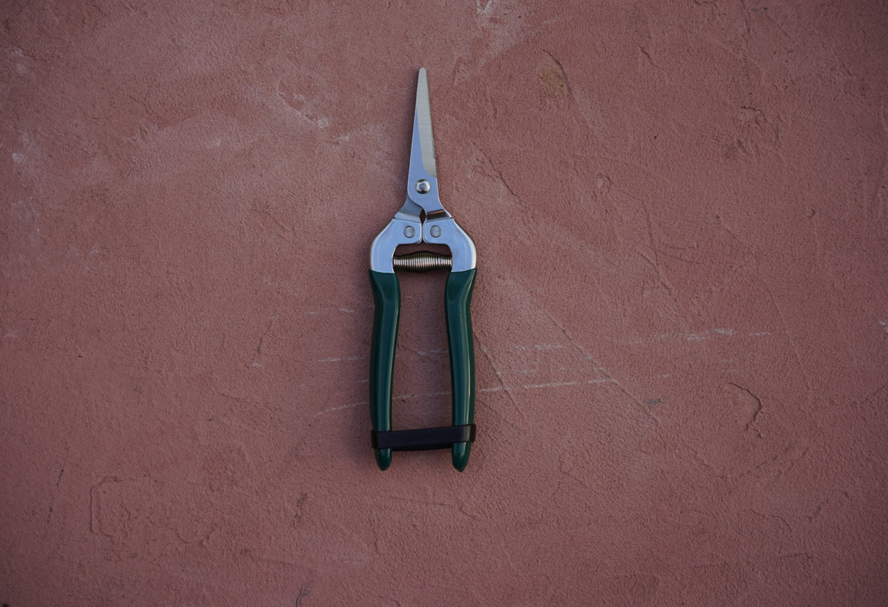 Flower and Fruit Snips