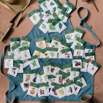 Gardenary 2026 Seed System