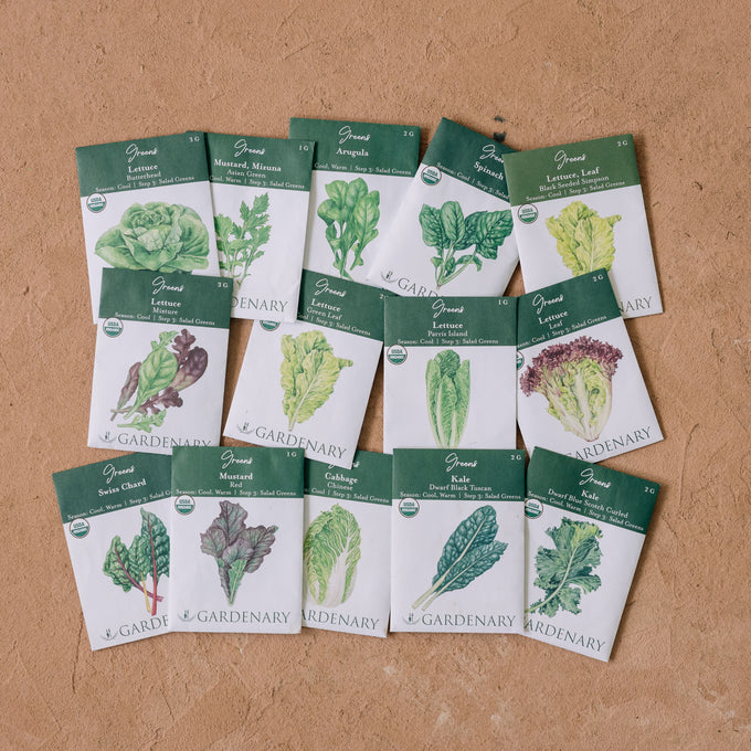 Collection of seed packets for various lettuces and leafy greens on a brown surface