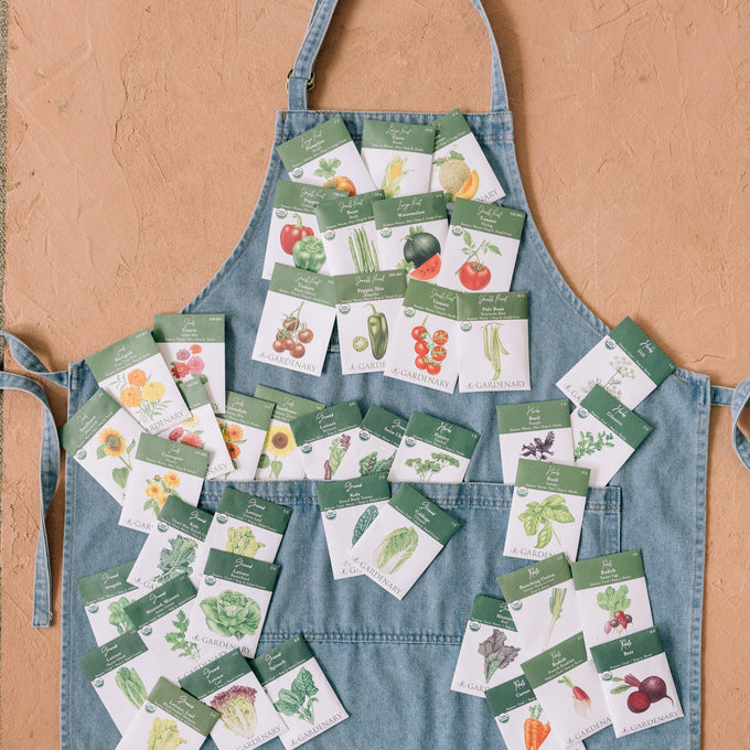 Denim apron with various seed packets attached on a beige background