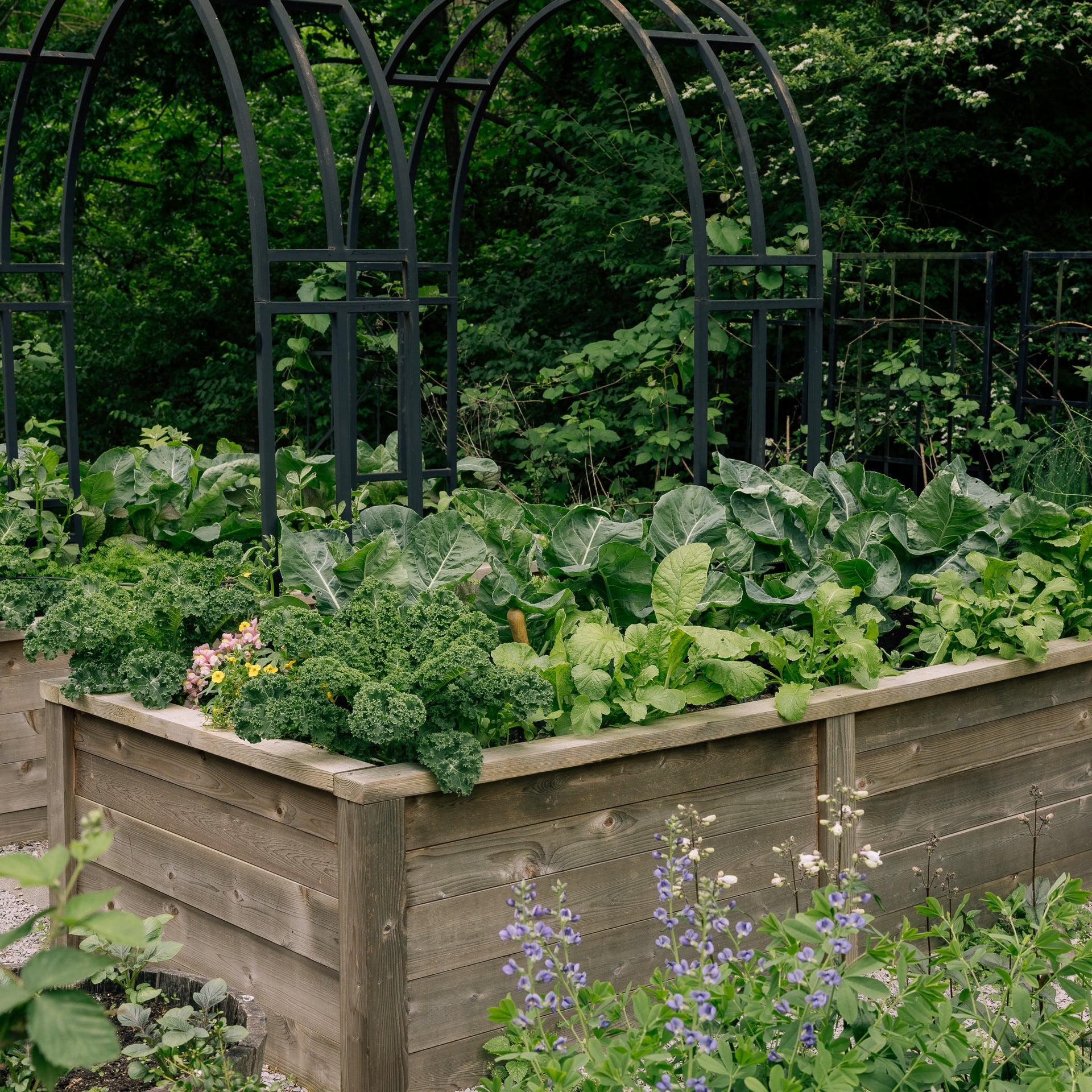 Gardenary Cedar Raised Garden Beds with Trim