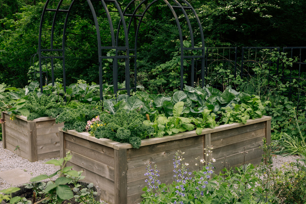 Gardenary Cedar Raised Garden Beds with Trim