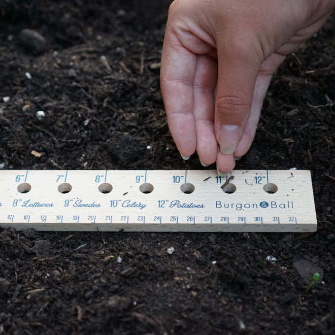 Buy Seed & Plant Spacing Ruler — The Worm that Turned
