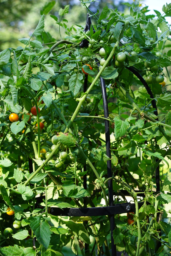 Wide Pillar Obelisk Trellis Kit