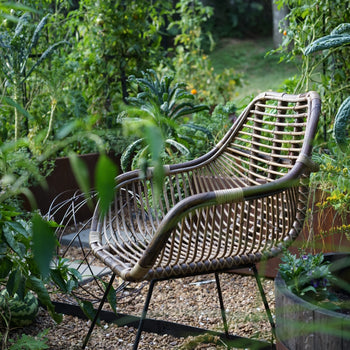 Rattan and Iron Garden Chair