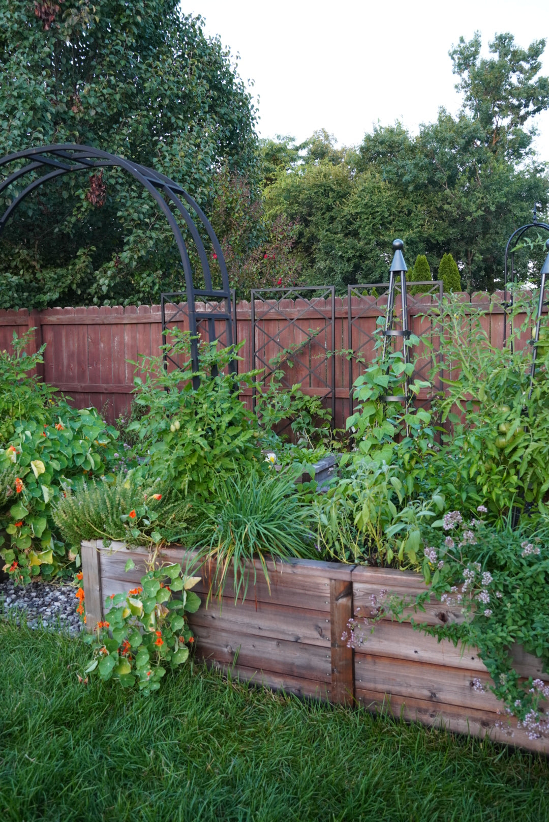 Diamond Panel Trellis