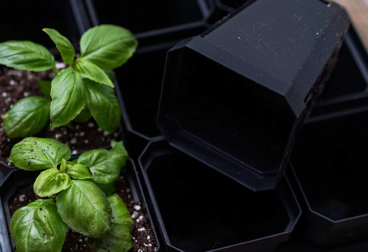 3.3" Heavy Duty Seed Starting Pots