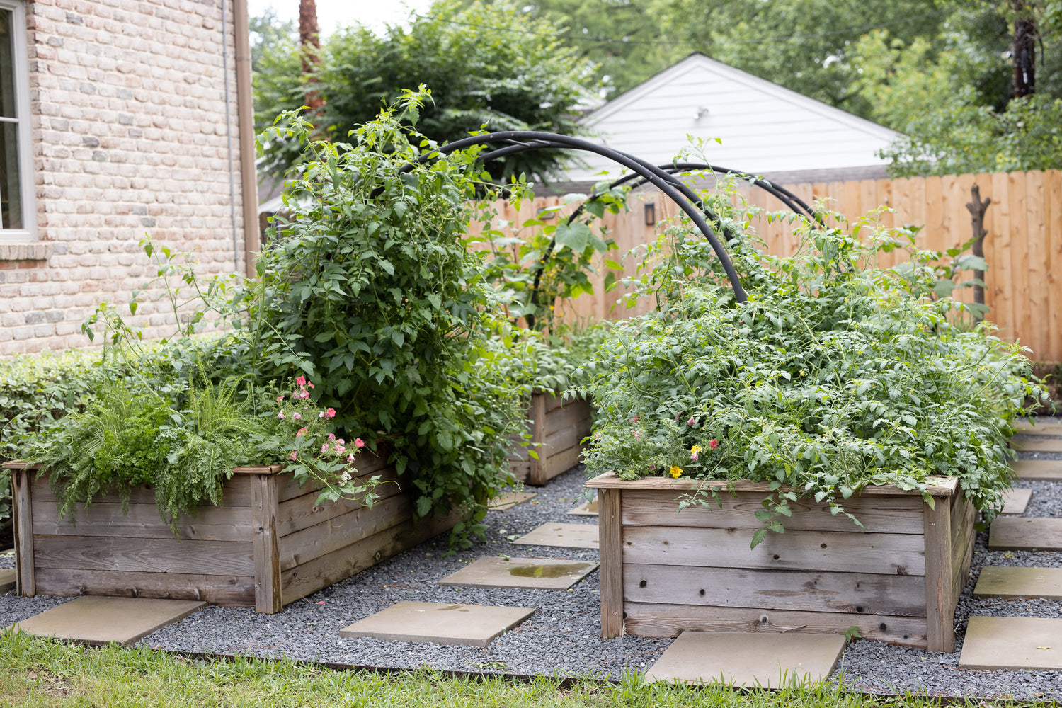 Marnie Kitchen Garden for KGA