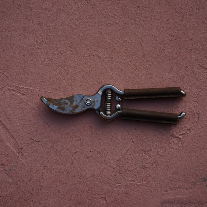 Bypass Pruner with Leather Handle