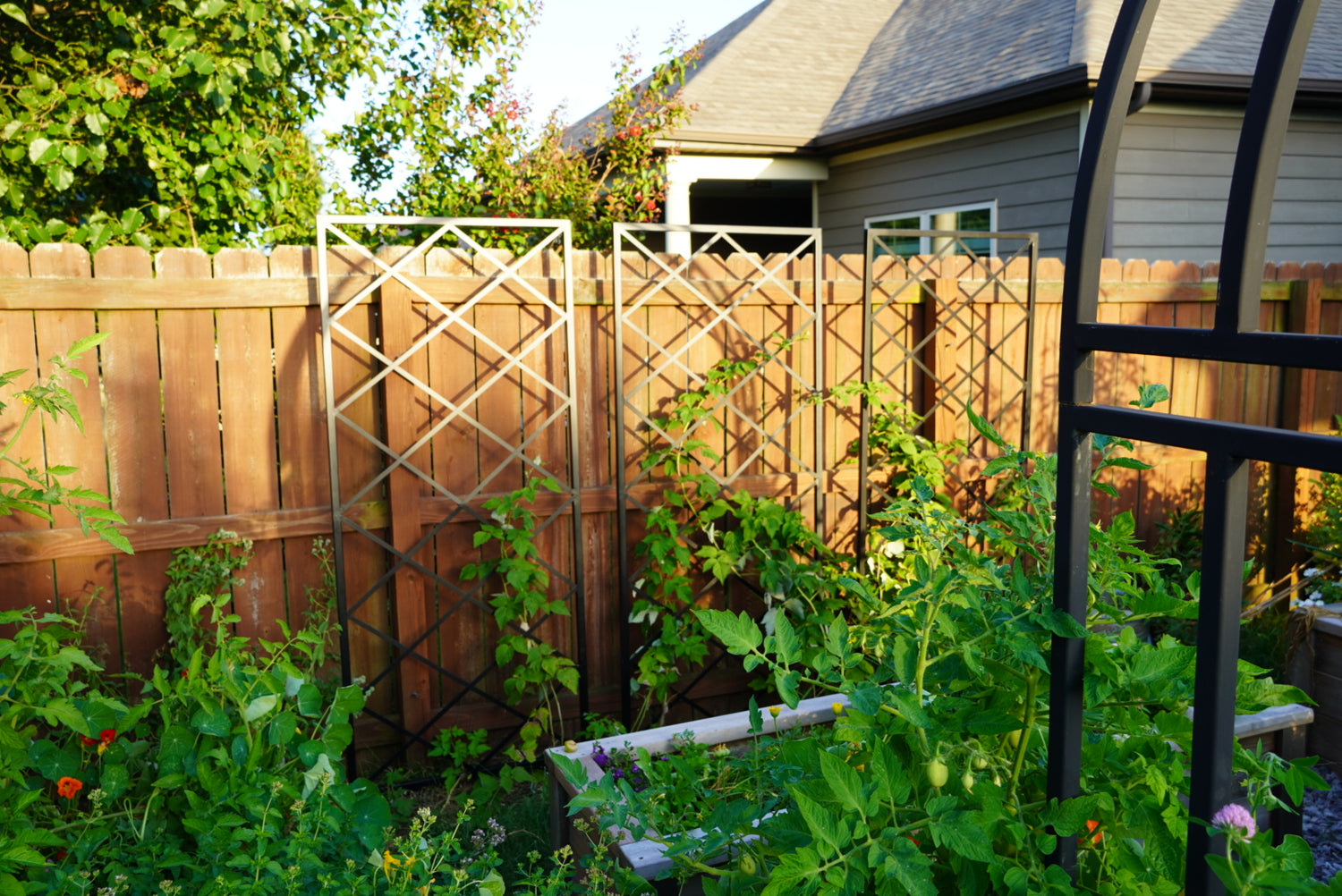 Diamond Panel Trellis