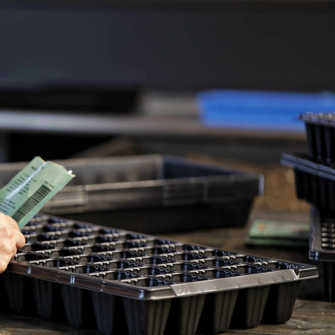 50 Cell Seed Starting Tray Inserts