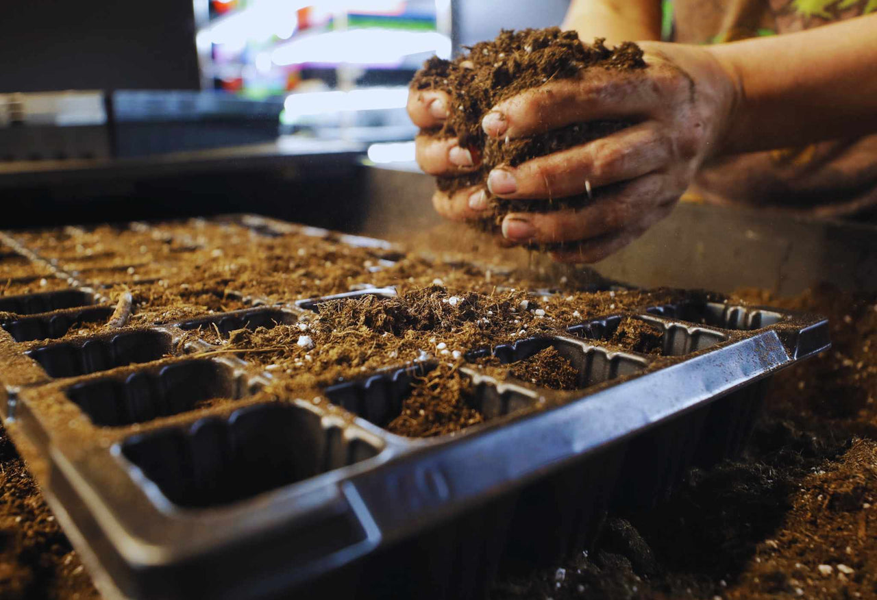 50 Cell Seed Starting Tray Inserts