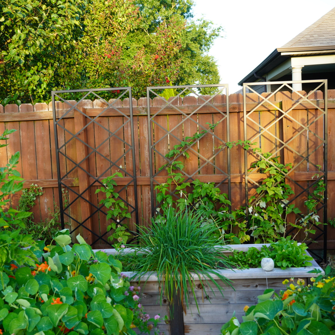 Diamond Panel Trellis