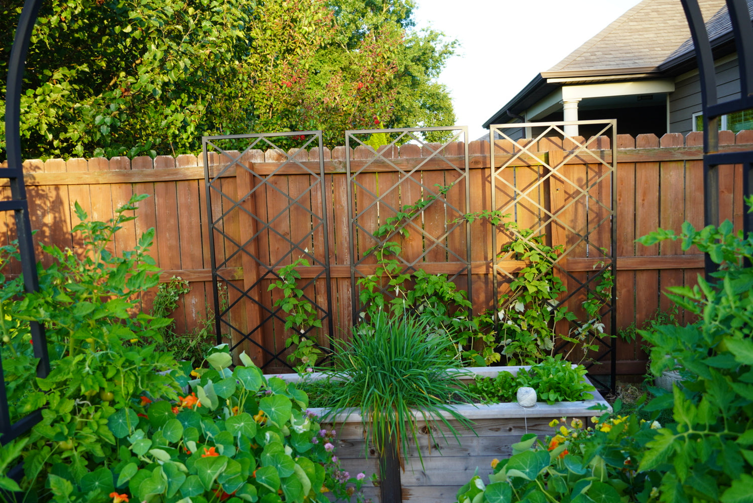 Diamond Panel Trellis