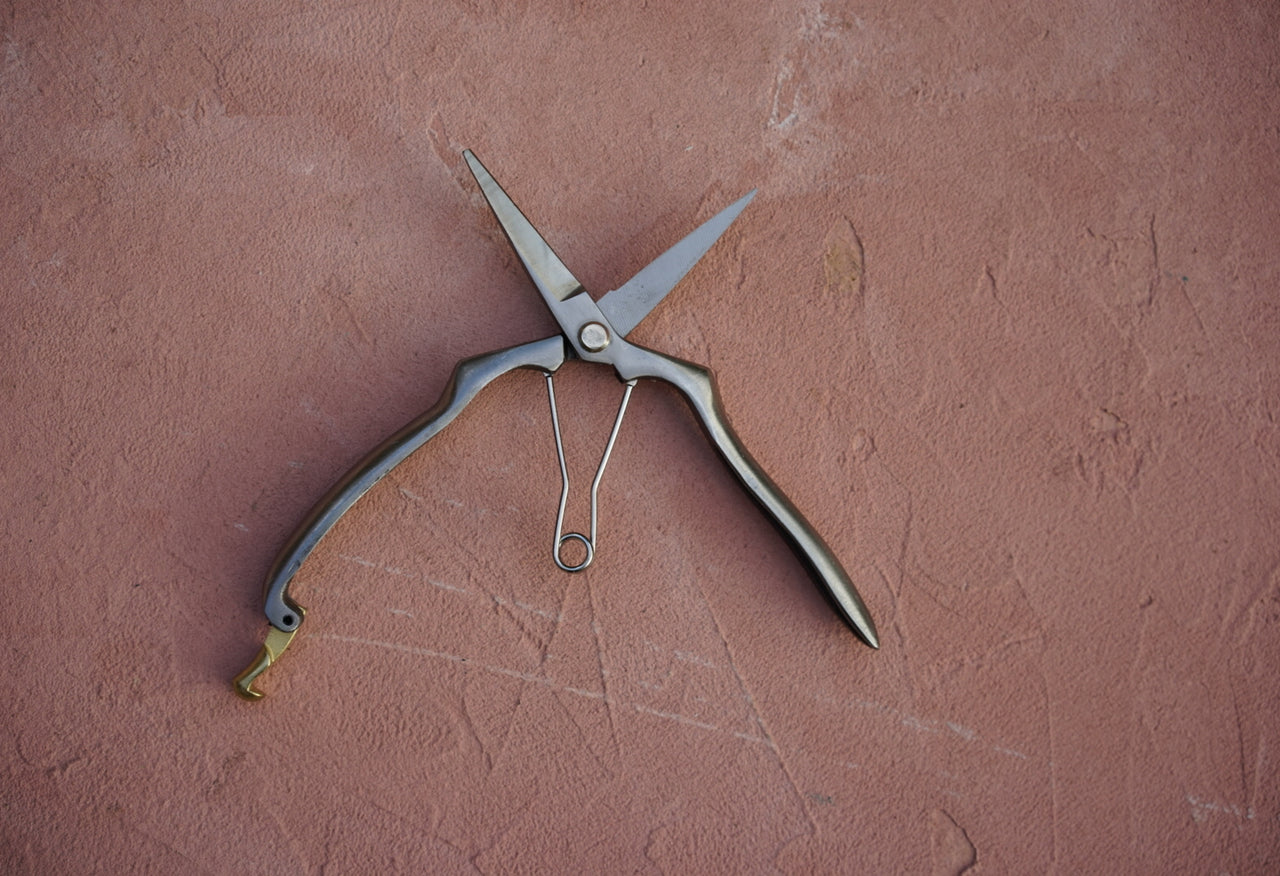 Stainless and Brass Precision Pruning Clippers