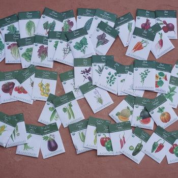 The Ultimate Seed System Blowout Sale