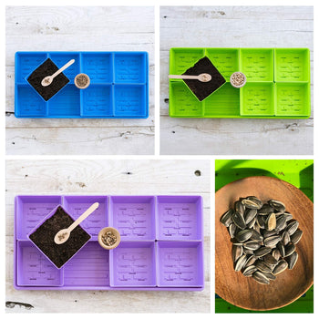 5" x 5" Microgreens Starter Kit (Multi-Color)