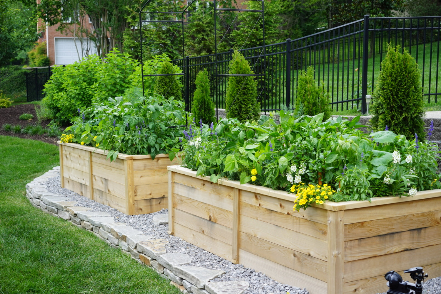Paris Arch Trellis