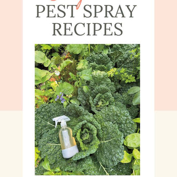 Organic Pest Spray Recipes Booklet