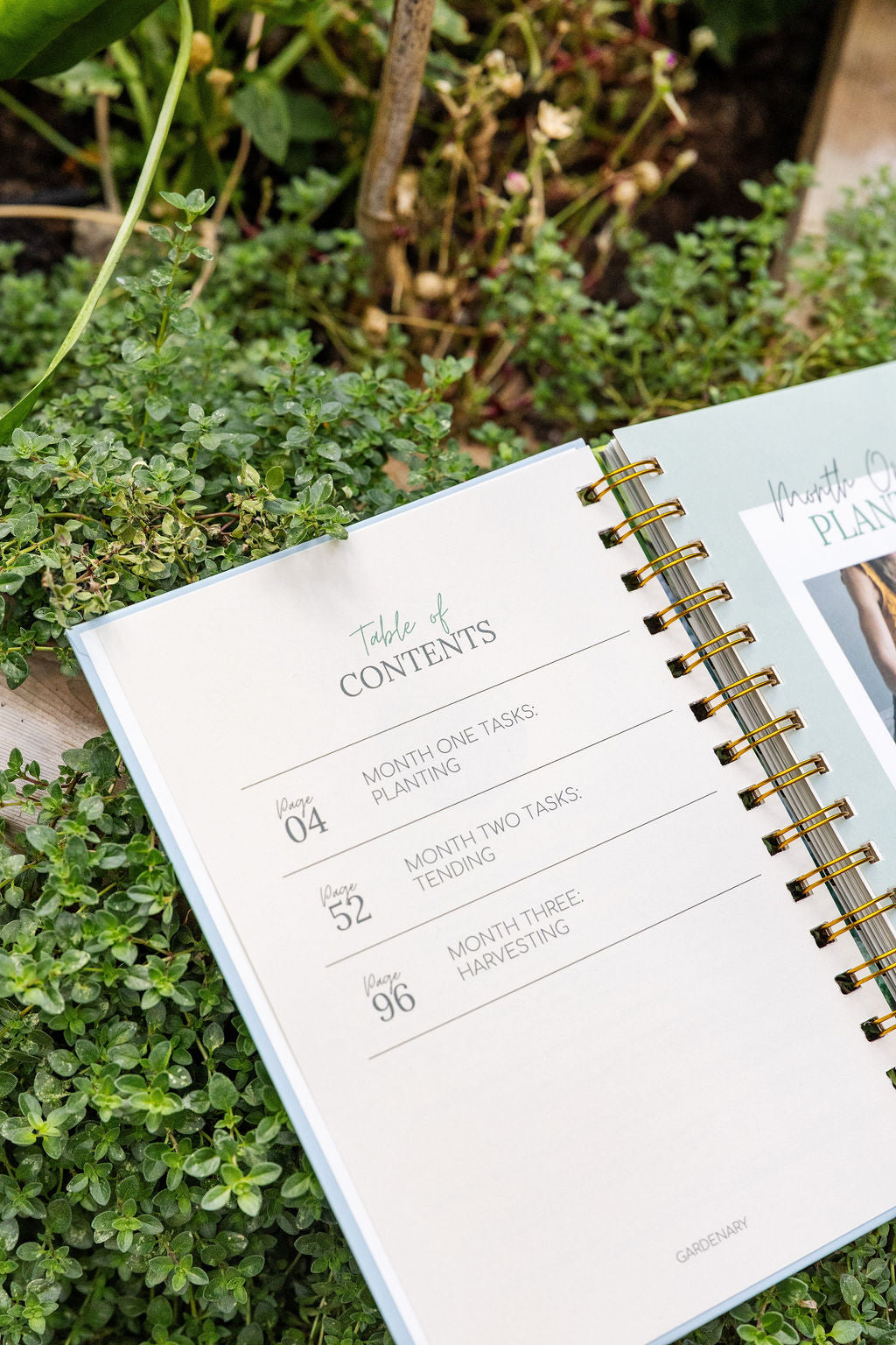 Gardenary Cold Season Garden Planner