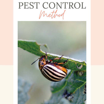 The New Organic Pest Control Method Book