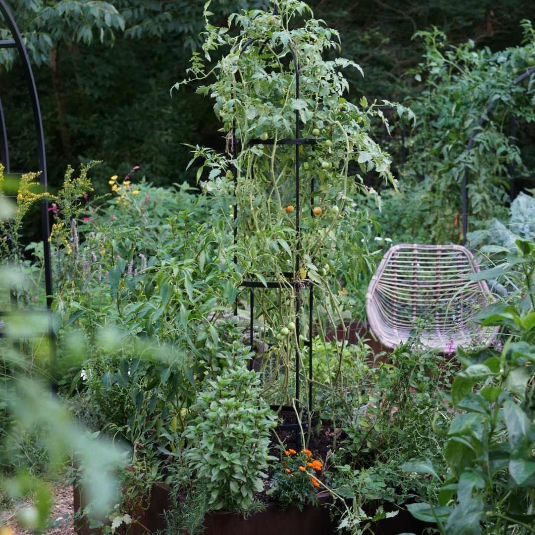 Wide Pillar Obelisk Trellis Kit – Gardenary Shop