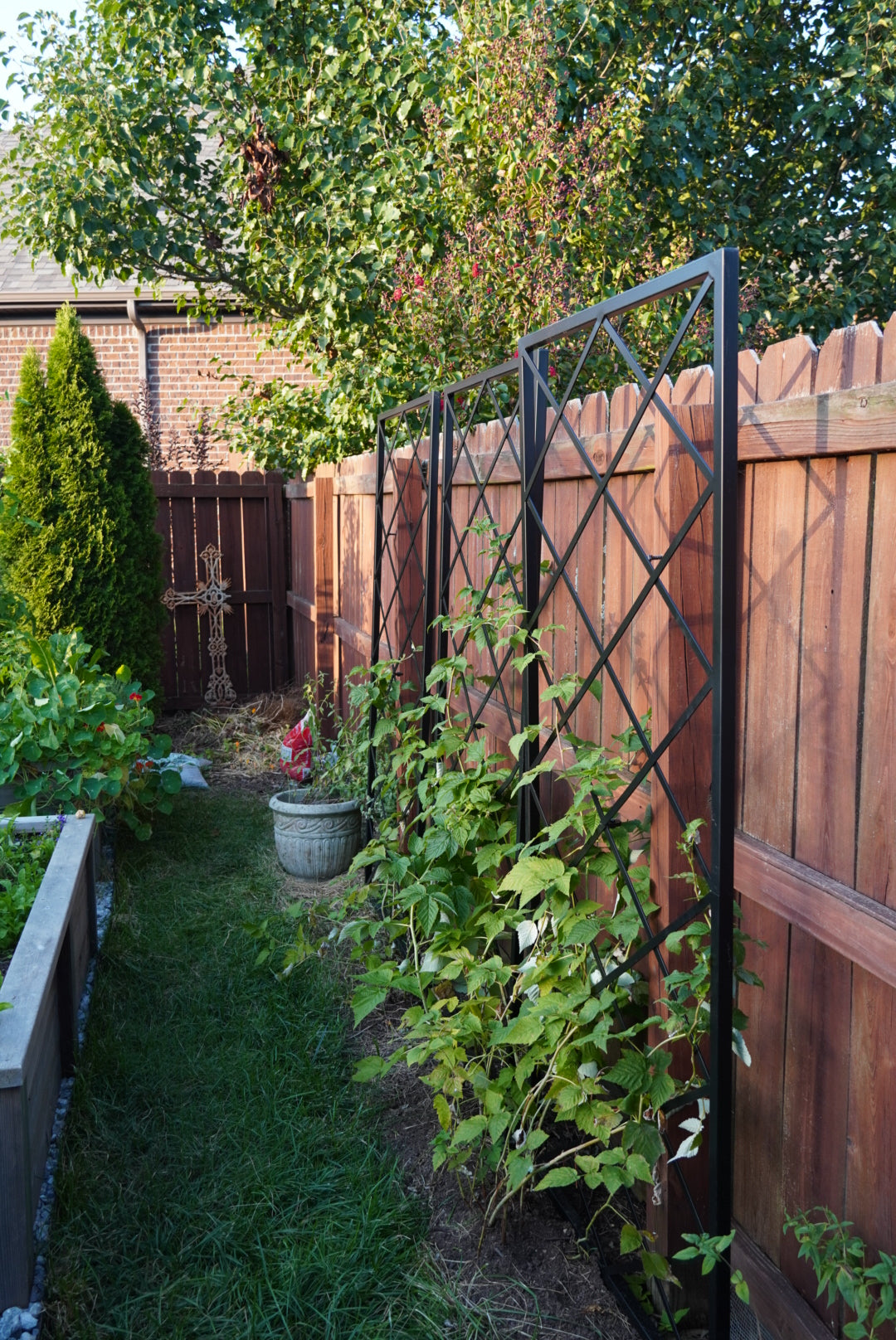 Diamond Panel Trellis