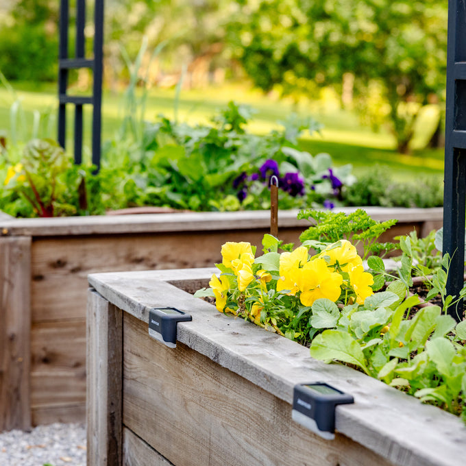 The Allison Garden Package