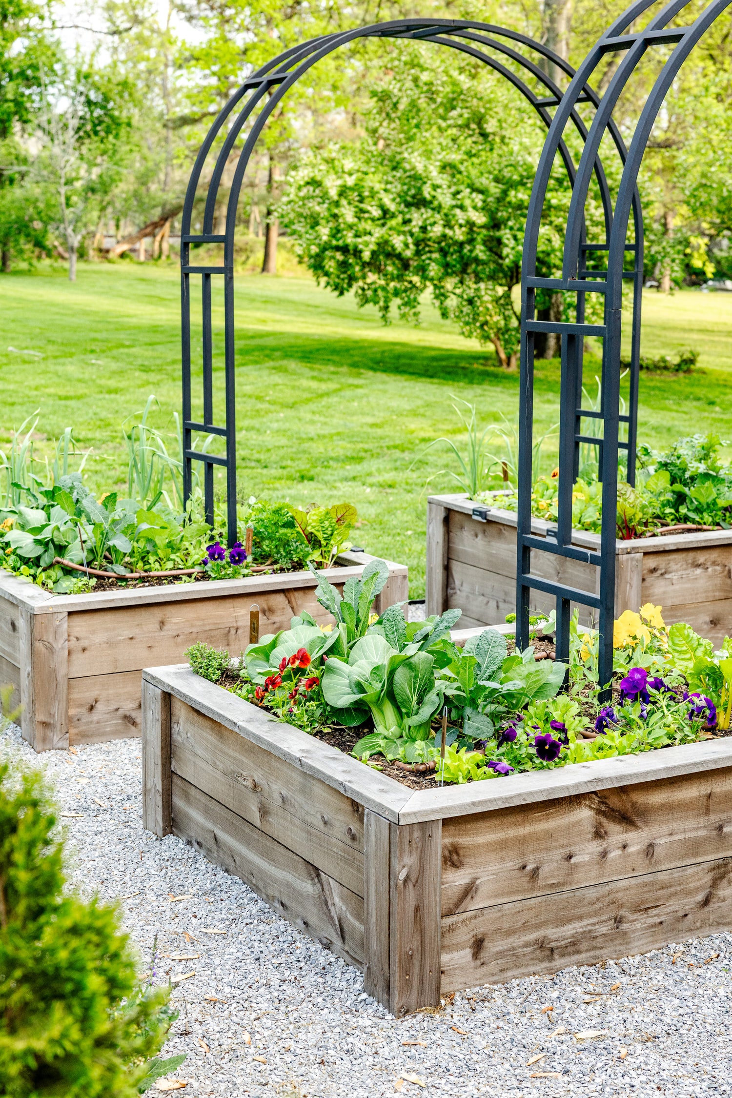 Allison Kitchen Garden Bundle for KGA