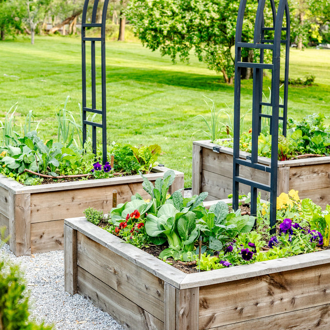 The Allison Garden Package