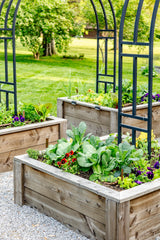 Allison Kitchen Garden Bundle for KGA
