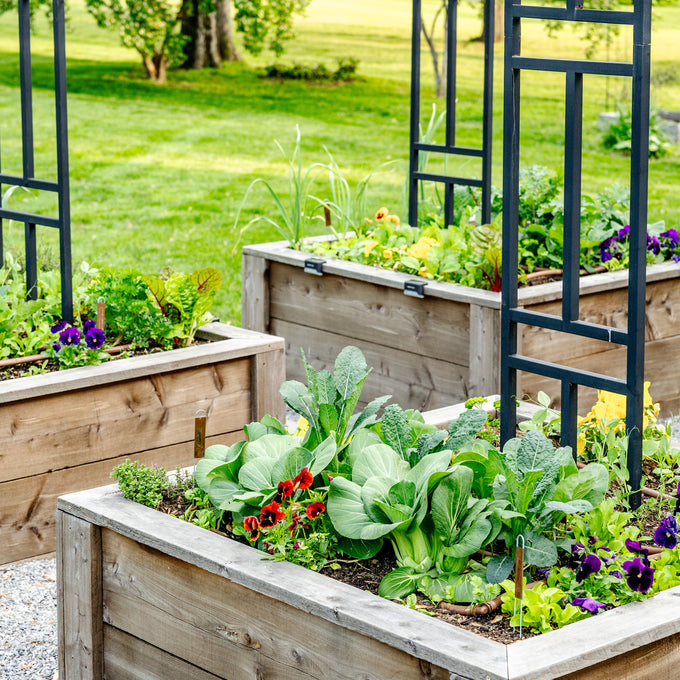 The Allison Garden Package