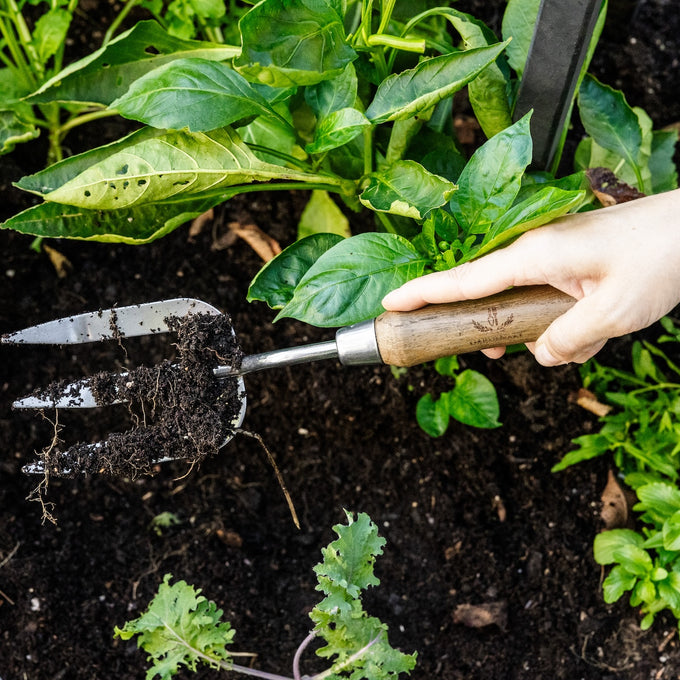 Gardenary Angled Garden Fork