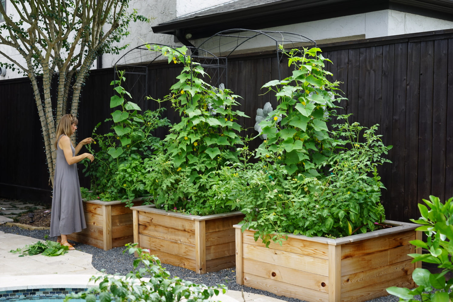 Sandra Kitchen Garden Bundle