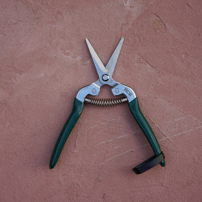 Flower and Fruit Snips