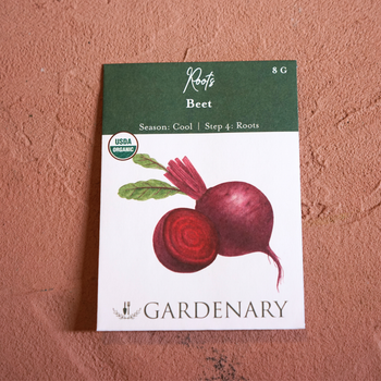 Red Beet Seeds