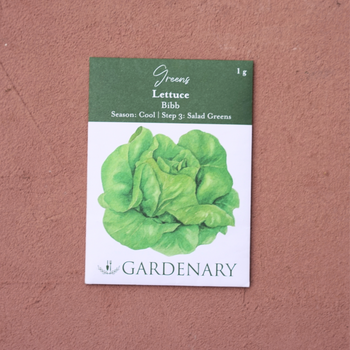 Bibb Lettuce Seeds