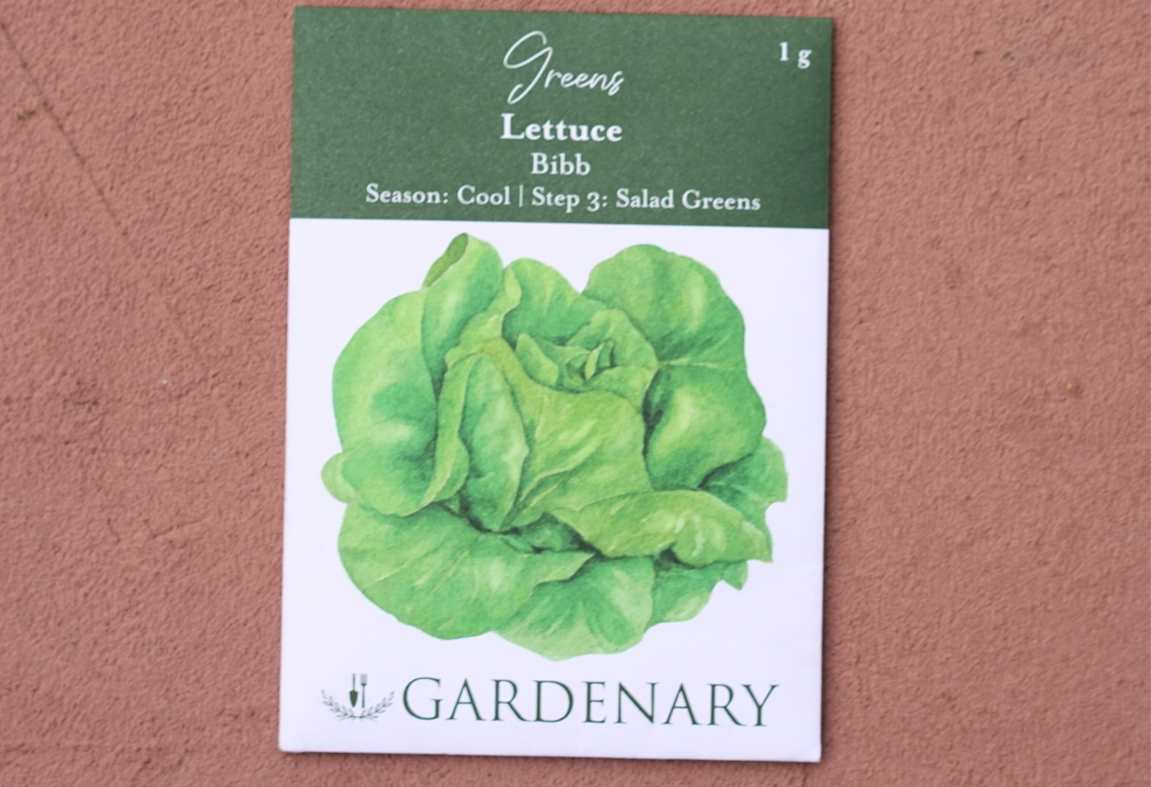 Bibb Lettuce Seeds