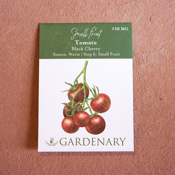 Black Cherry Tomato Seeds