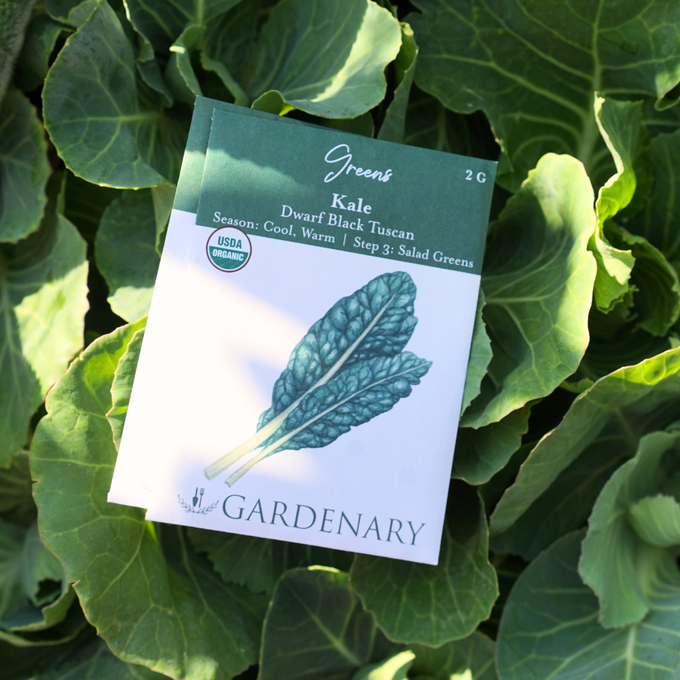 Gardenary Seeds
