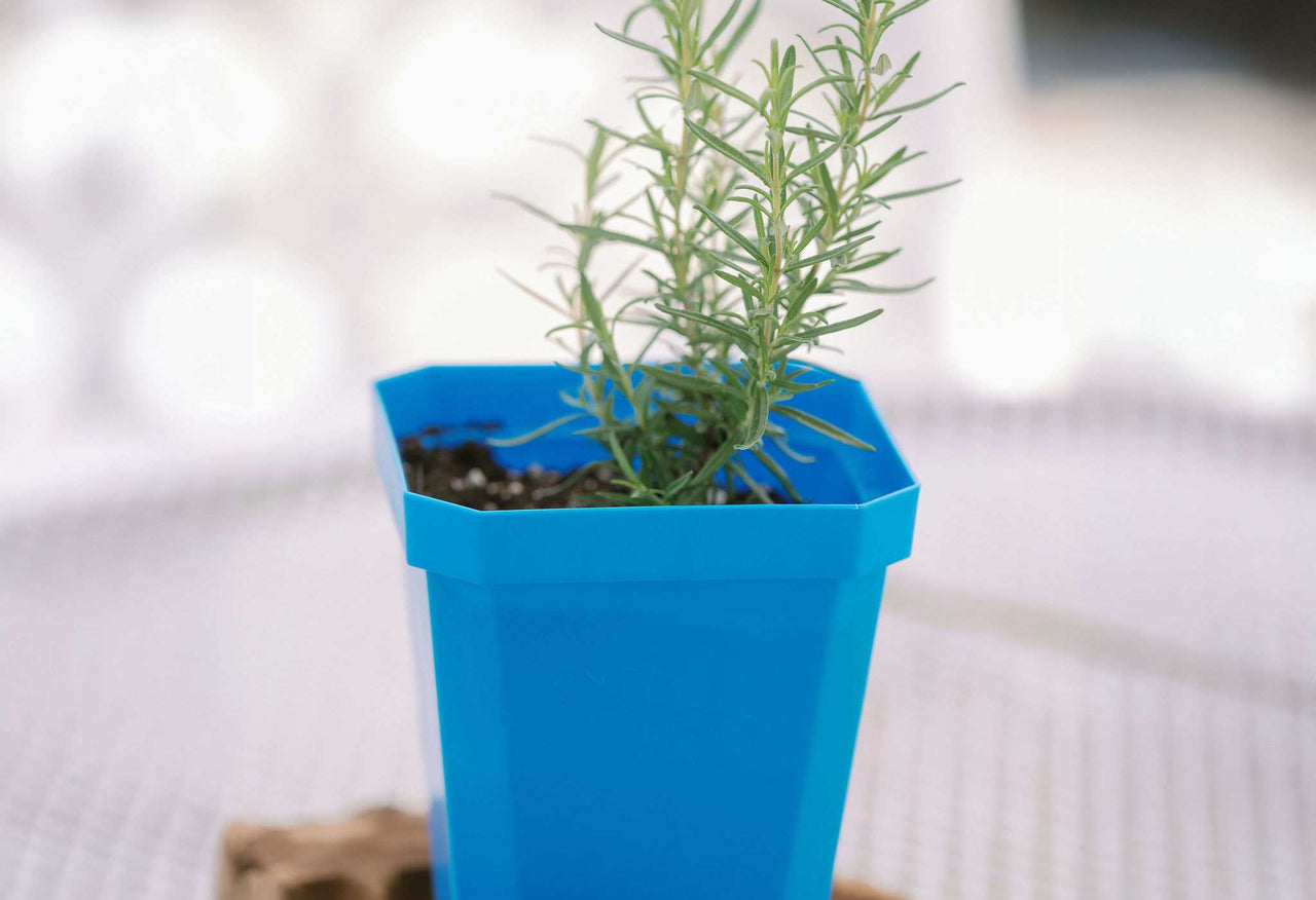 5" Heavy Duty Nursery Pots