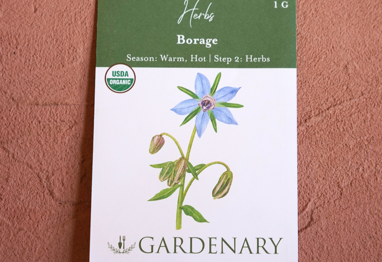 Borage Seeds