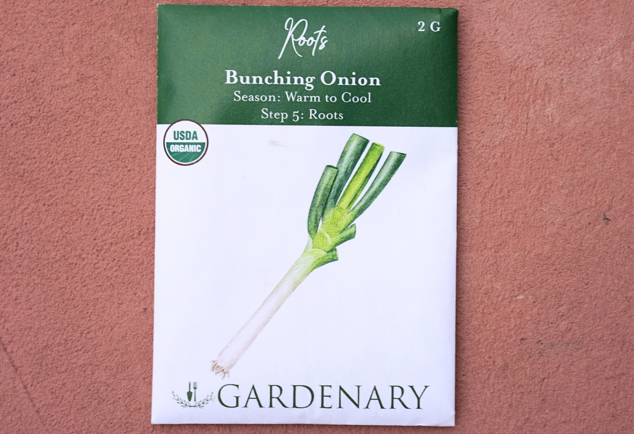 Bunching Onion Seeds