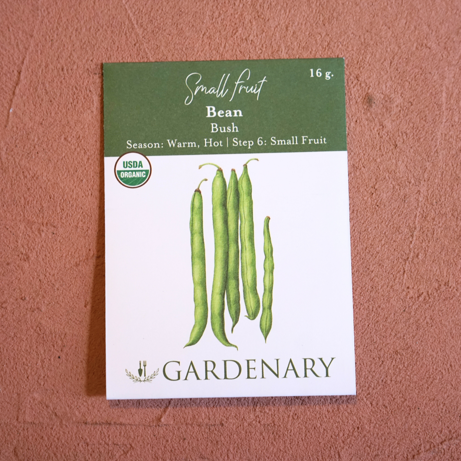 Provider Bush Bean Seeds