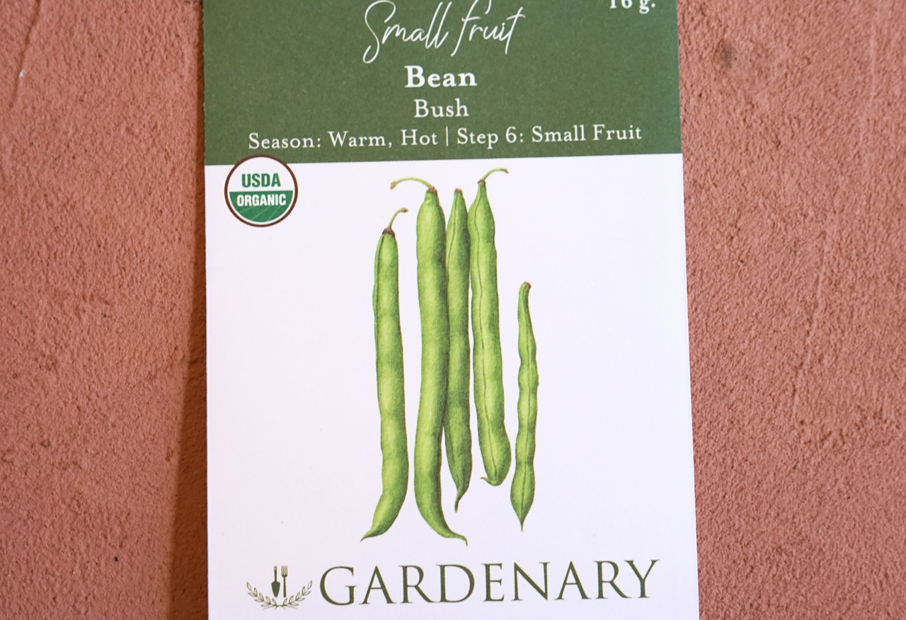 Provider Bush Bean Seeds