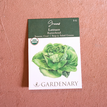 Butterhead Lettuce Seeds