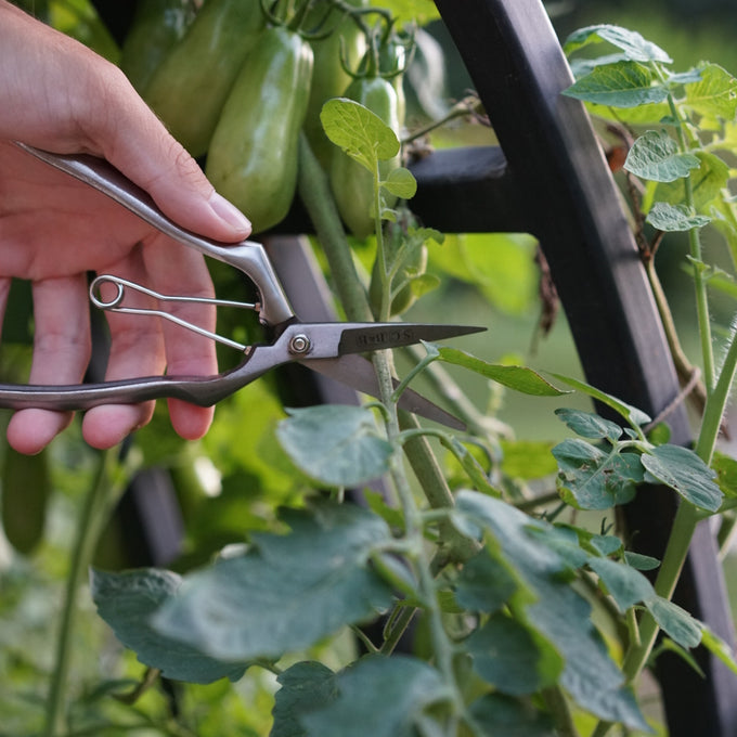 Stainless and Brass Precision Pruning Clippers